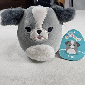 NEW Squishmallows Malu 5" Grey Shih Tzu Dog plush